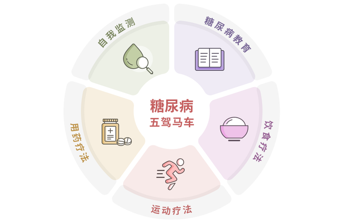 驾驭好糖尿病的五驾马车你就是控糖高手