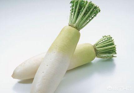 白萝卜有什么营养价值,什么人千万不能吃