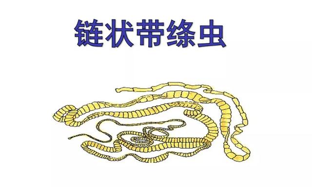 舌尖上的美味火锅季这样吃还可能会得这个病