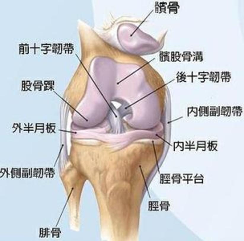 半月板损伤和撕裂 健康号 微医