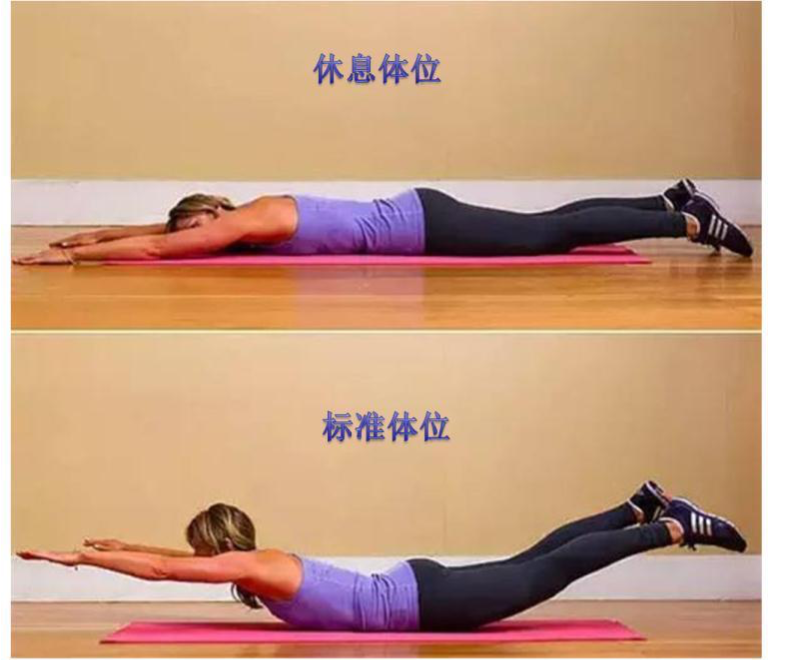 腰背肌力量训练动作图片