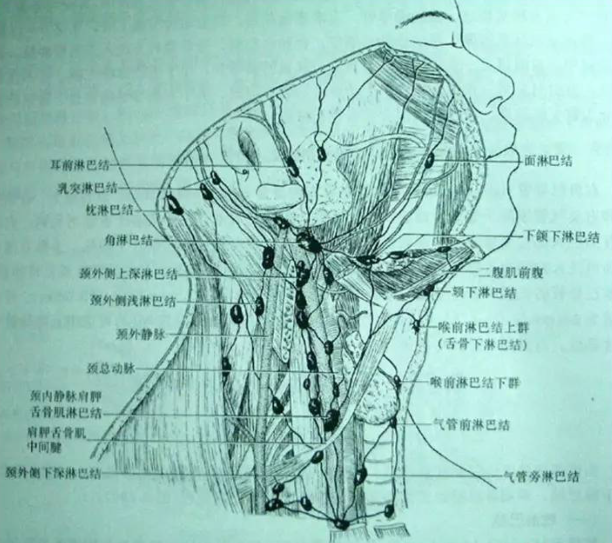 吉大一院甲状腺外科门诊检查及住院手术流程