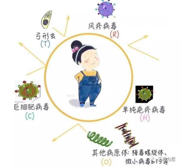 “傻傻分不清”的孕前优生五项TORCH 微医（挂号网）