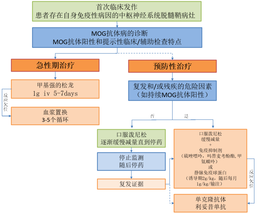 神经病学进展 Mog抗体疾病 健康号 微医