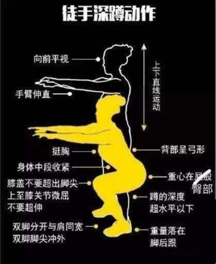深蹲的肌群,很多的时候锻炼的是股四头肌只性谡玖