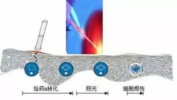 xbT365237926?resize=700:x