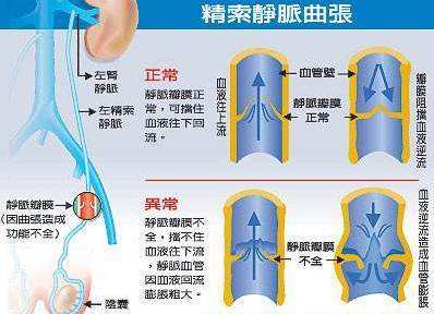 索良人口_人口普查(3)