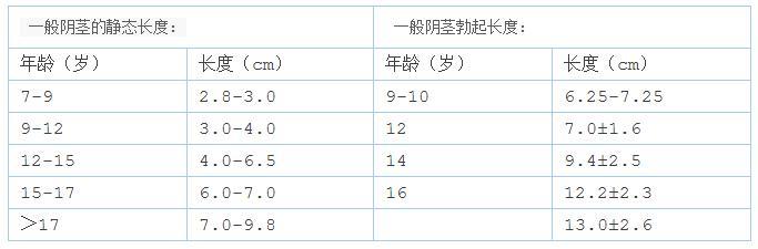 中国男性丁丁调查报告